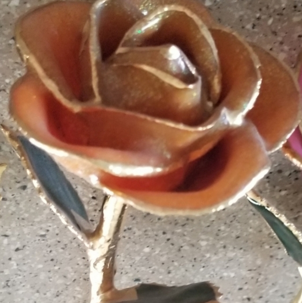 Roses for @bethlynnj22